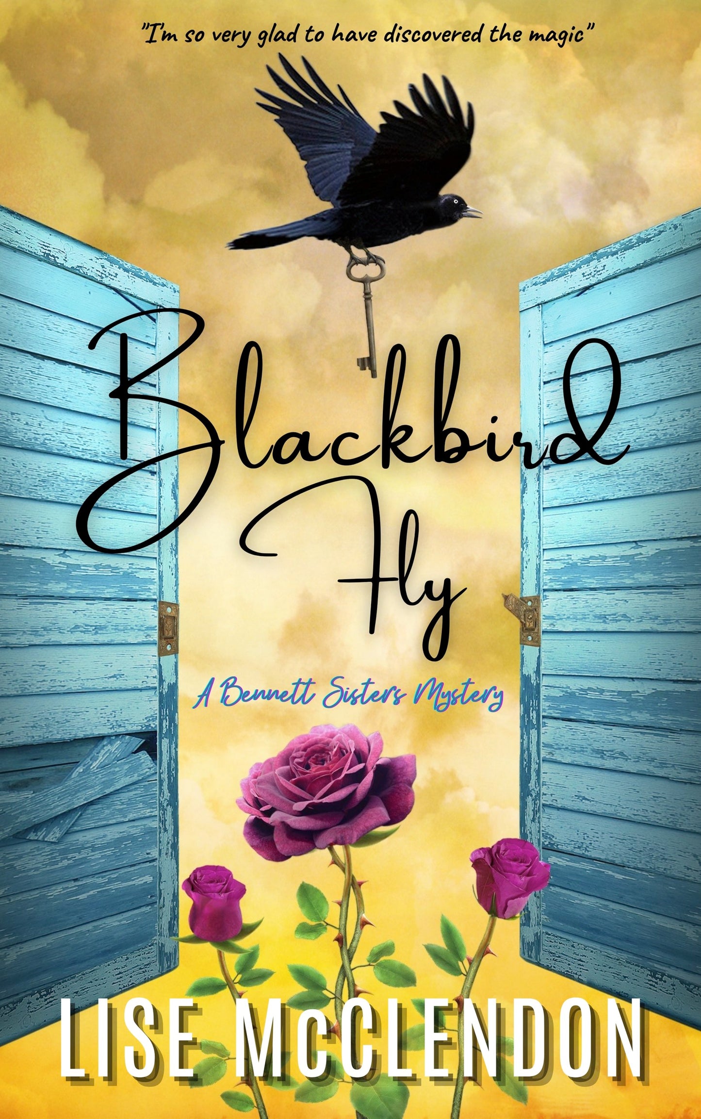 Blackbird Fly • E-book